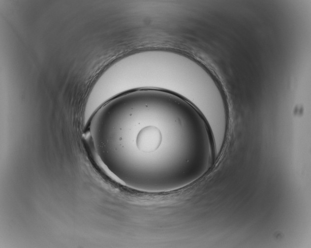 X0000111900017200907271209