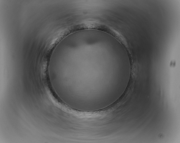 X0000111900018200907271209