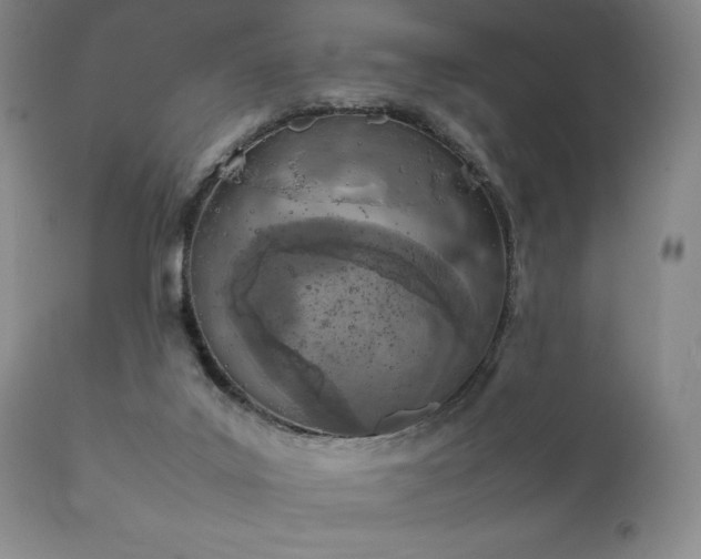 X0000111900019200907271209