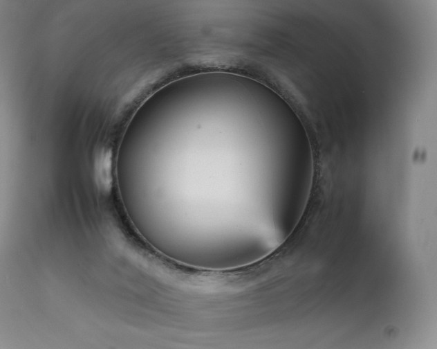 X0000111900020200907271209