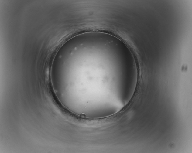 X0000111900021200907271209