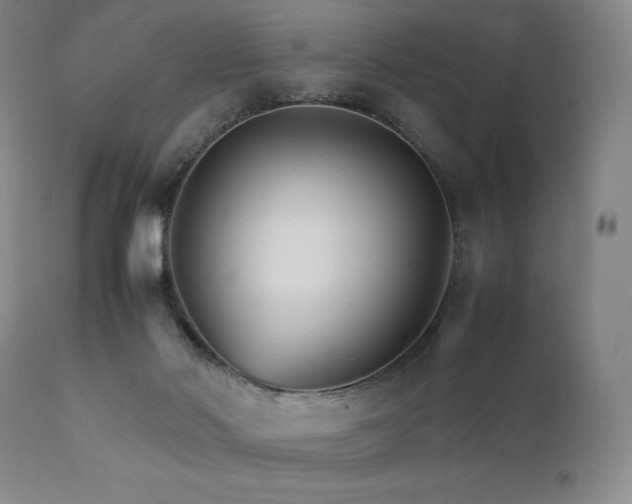 X0000111900022200907271209