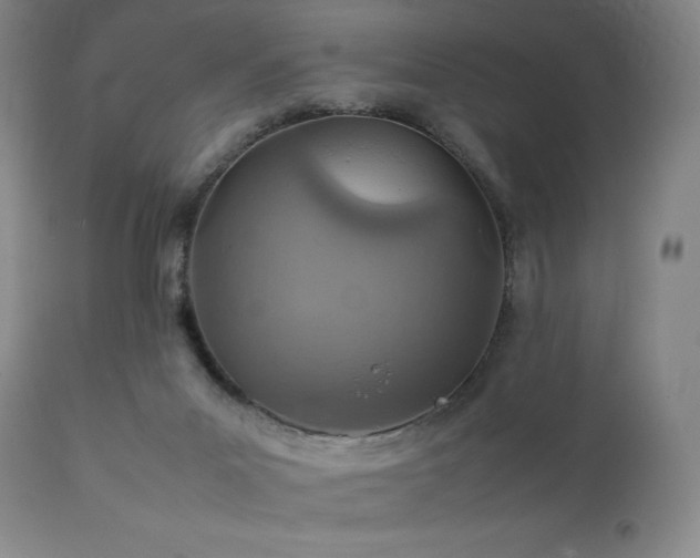 X0000111900023200907271209