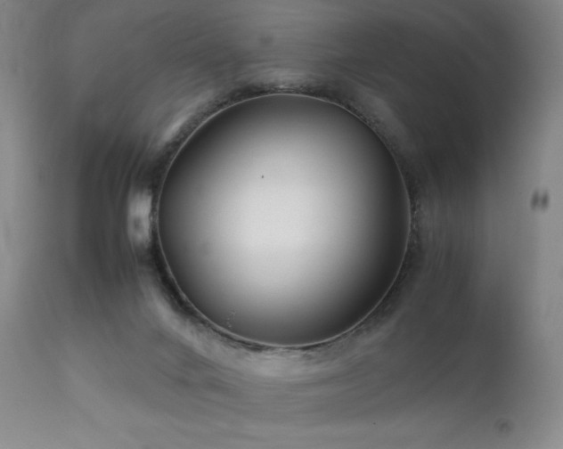 X0000111900024200907271209