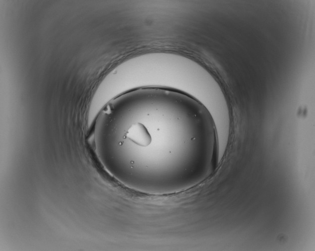 X0000111900025200907271209