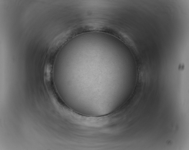 X0000111900026200907271209