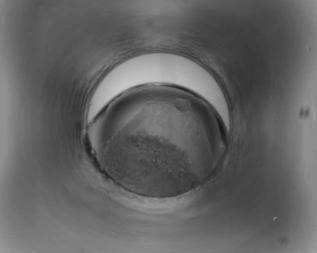 X0000111900027200907271209