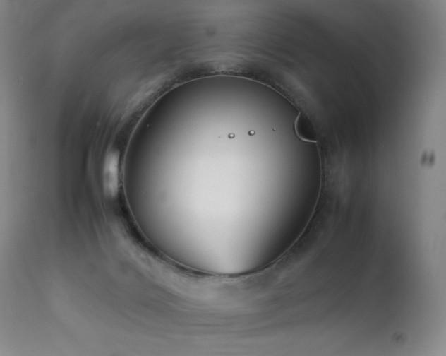 X0000111900028200907271209