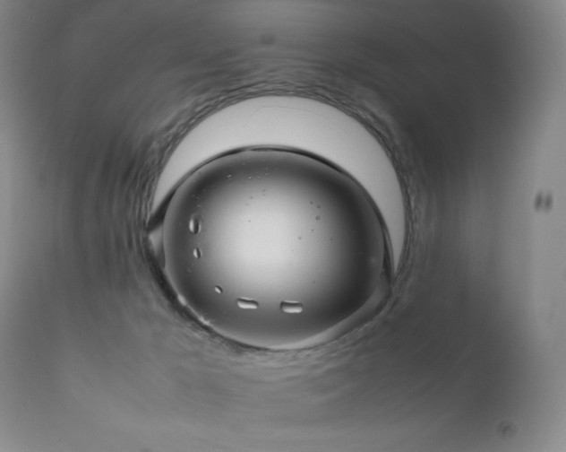 X0000111900029200907271209