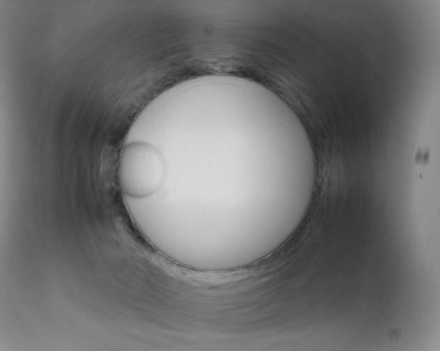 X0000111900030200907271209