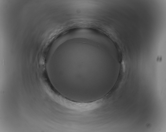 X0000111900031200907271209