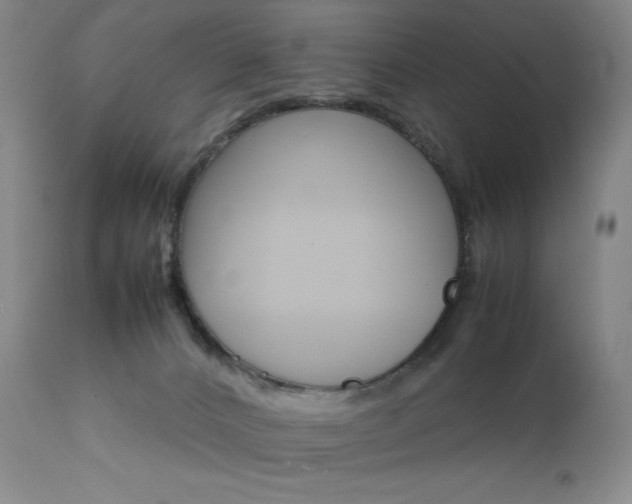 X0000111900032200907271208