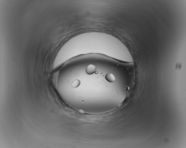 X0000111900033200907271208