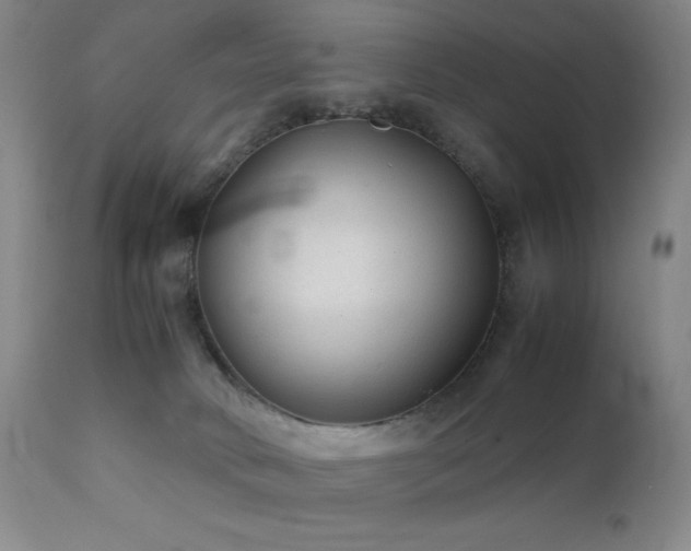 X0000111900034200907271208