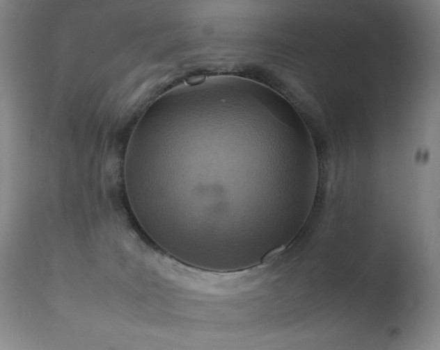 X0000111900035200907271208