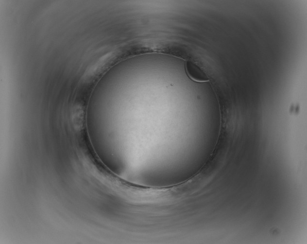 X0000111900036200907271208