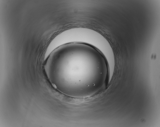 X0000111900037200907271208