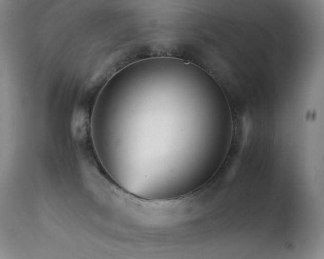 X0000111900038200907271208