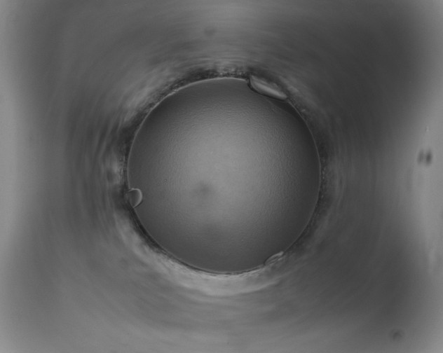 X0000111900039200907271208