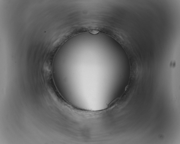 X0000111900040200907271208