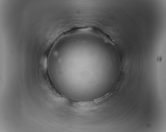 X0000111900041200907271208