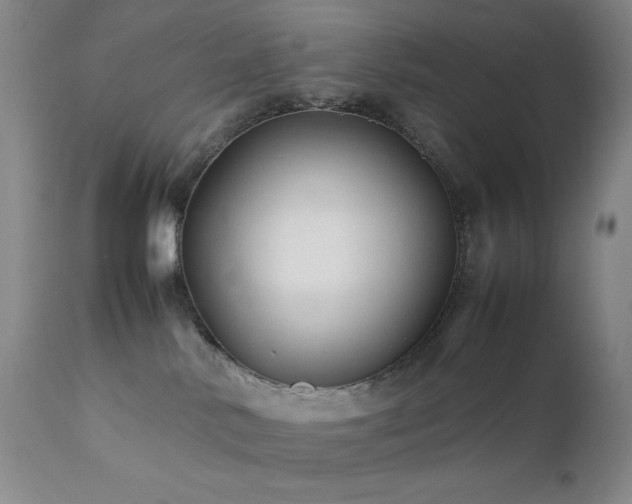 X0000111900042200907271208