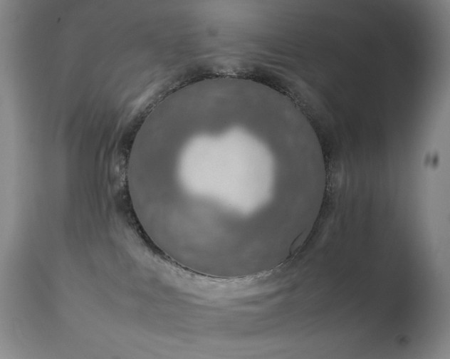 X0000111900043200907271208