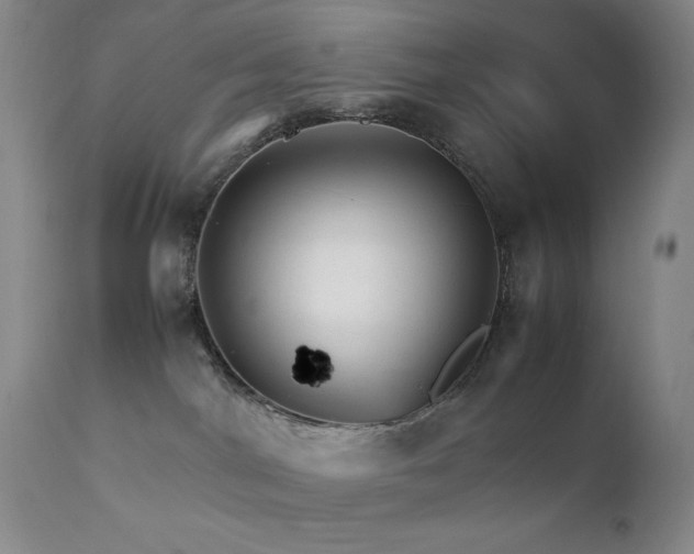 X0000111900044200907271208