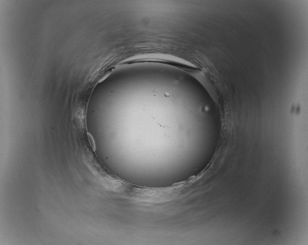 X0000111900045200907271208