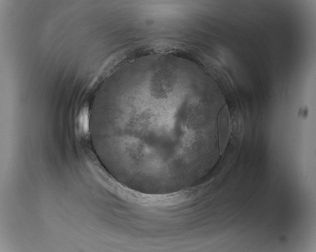 X0000111900046200907271208