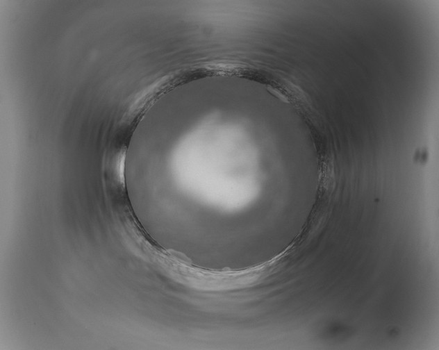 X0000111900047200907271208