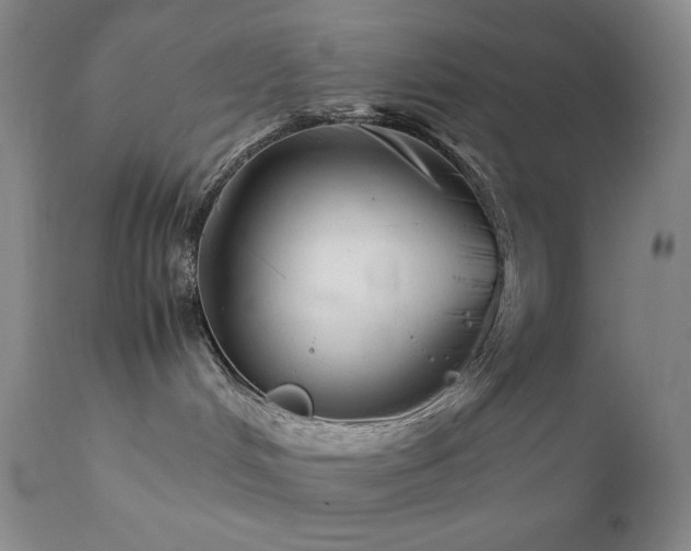 X0000111900048200907271208