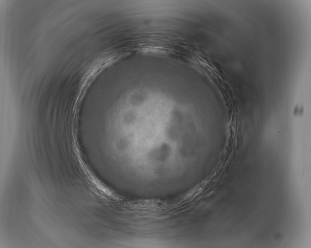 X0000111900049200907271208