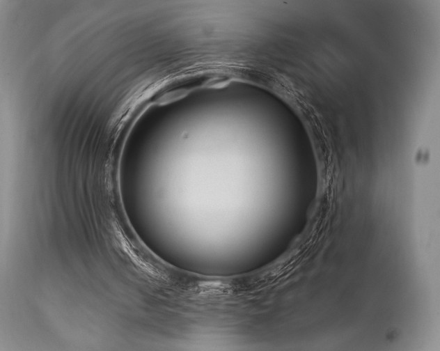 X0000111900050200907271208