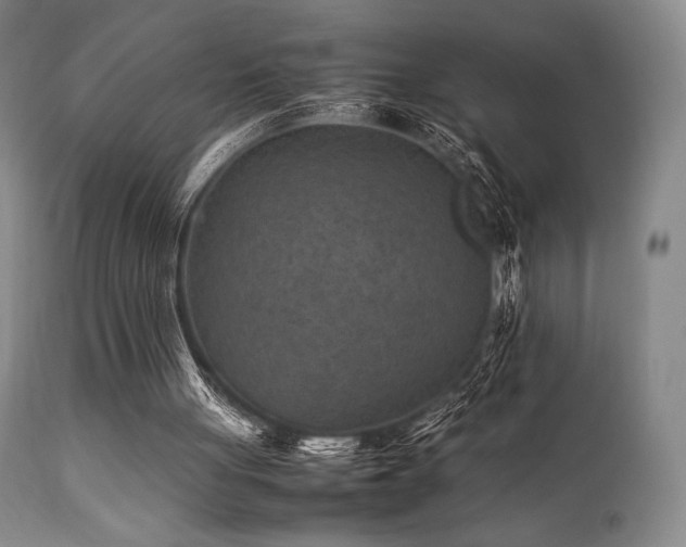 X0000111900051200907271208