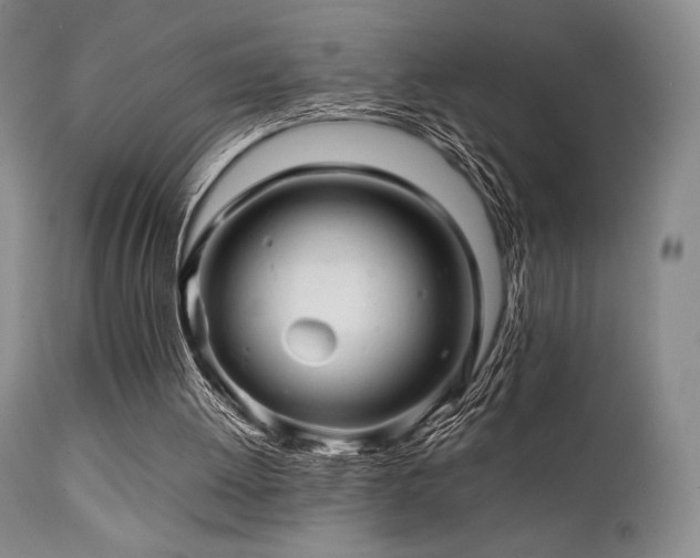 X0000111900052200907271208