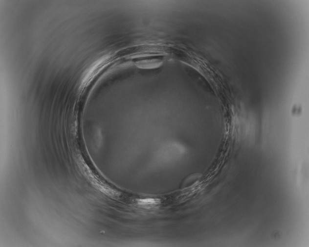 X0000111900053200907271208