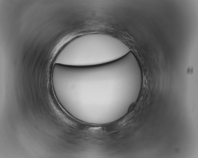 X0000111900054200907271208