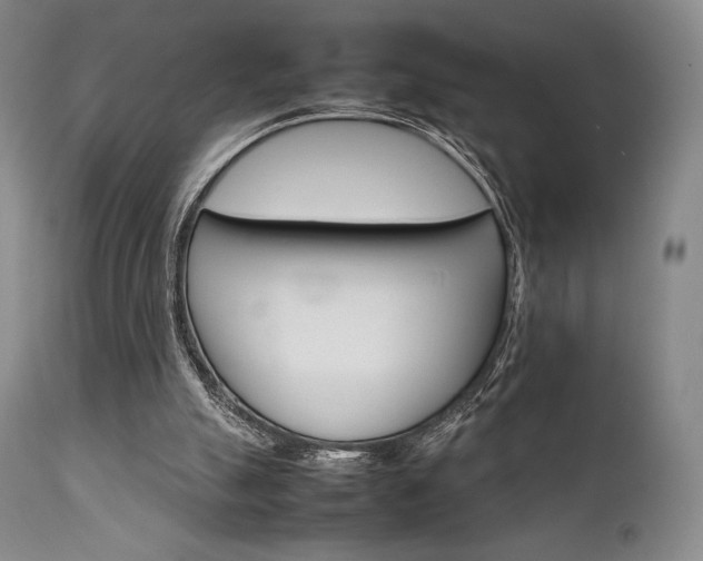 X0000111900055200907271208