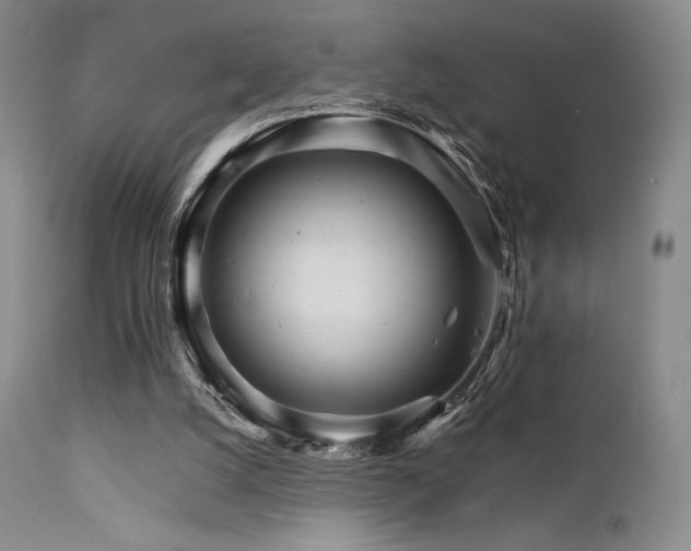 X0000111900056200907271208