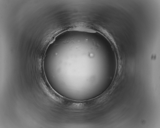 X0000111900057200907271208