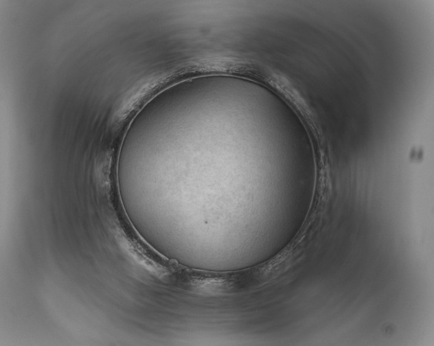 X0000111900058200907271208