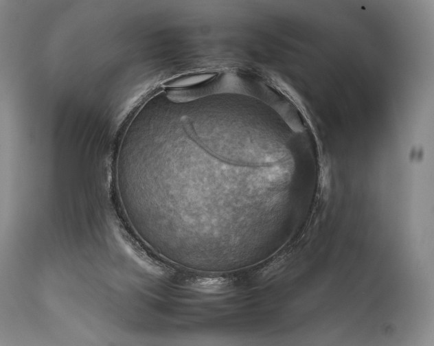 X0000111900059200907271208