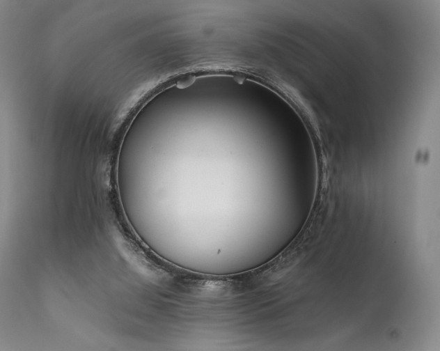 X0000111900060200907271208