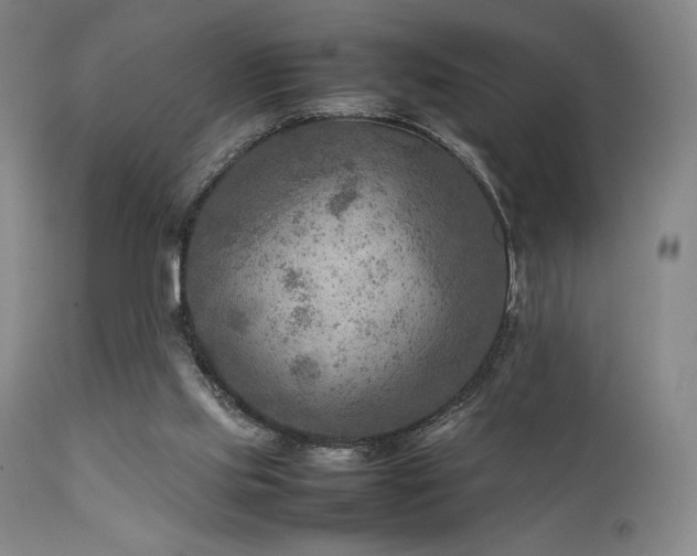 X0000111900061200907271208