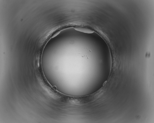 X0000111900062200907271208