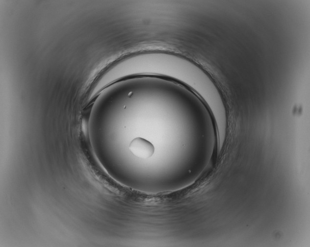 X0000111900064200907271208