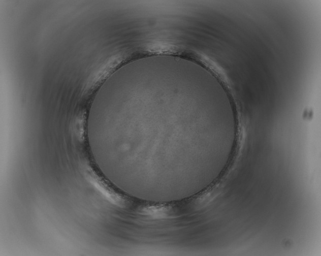 X0000111900065200907271208