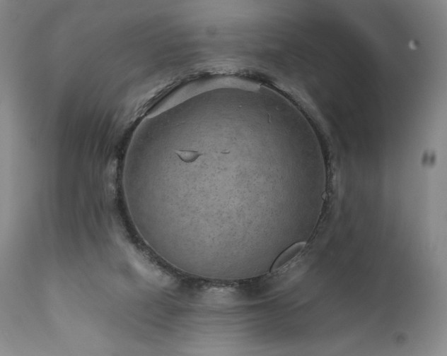 X0000111900066200907271208