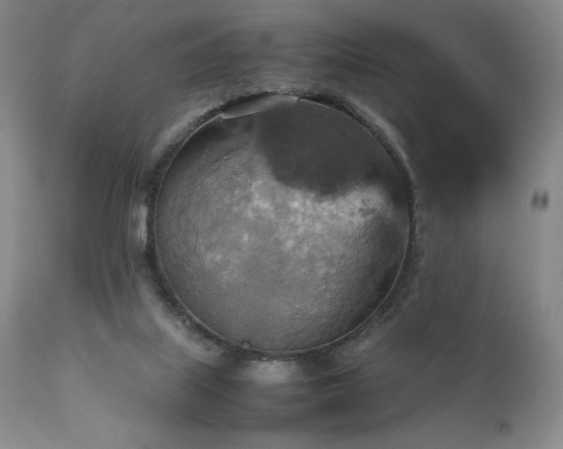 X0000111900067200907271208